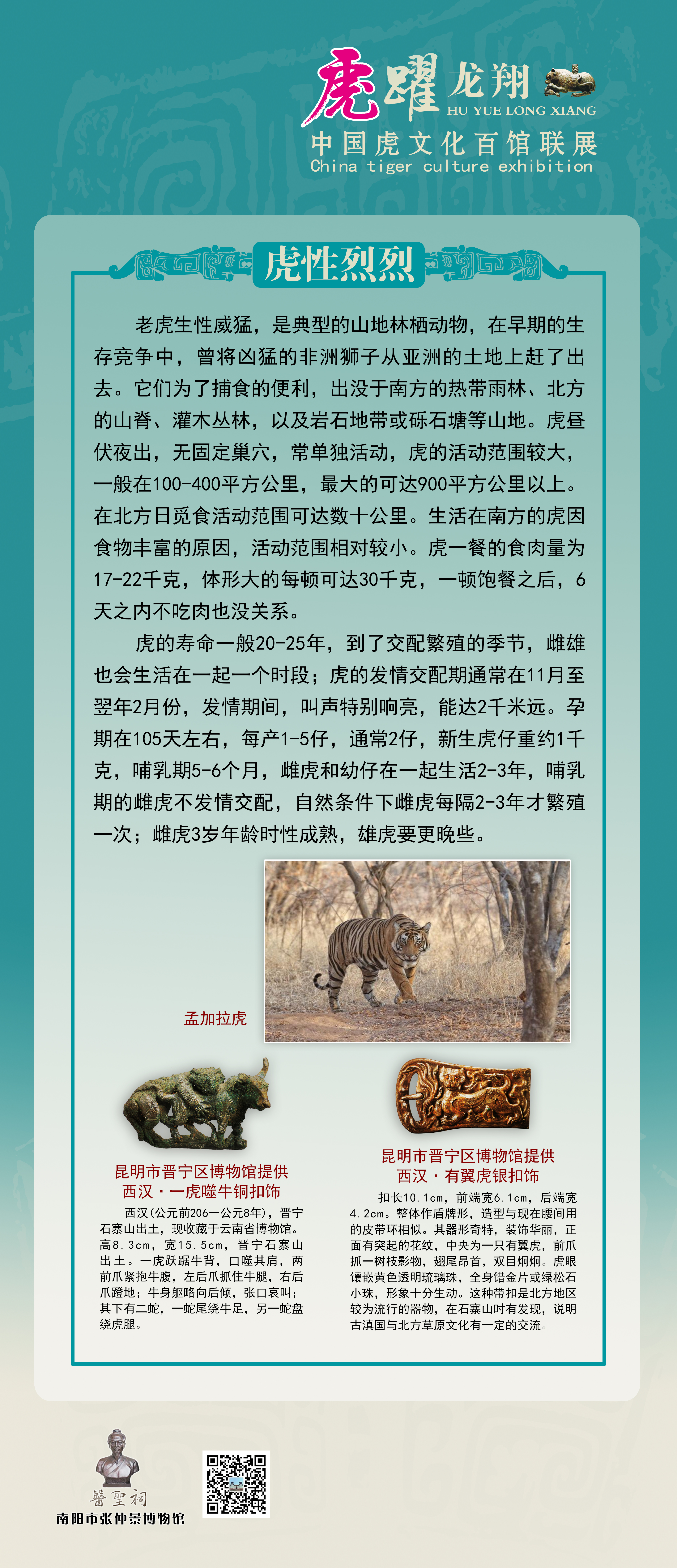【线上展览】虎跃龙翔——中国虎文化百馆联展（一）