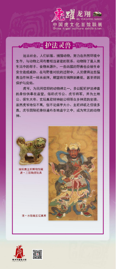 c456718dd7d64fa28c334db0272d3956.png