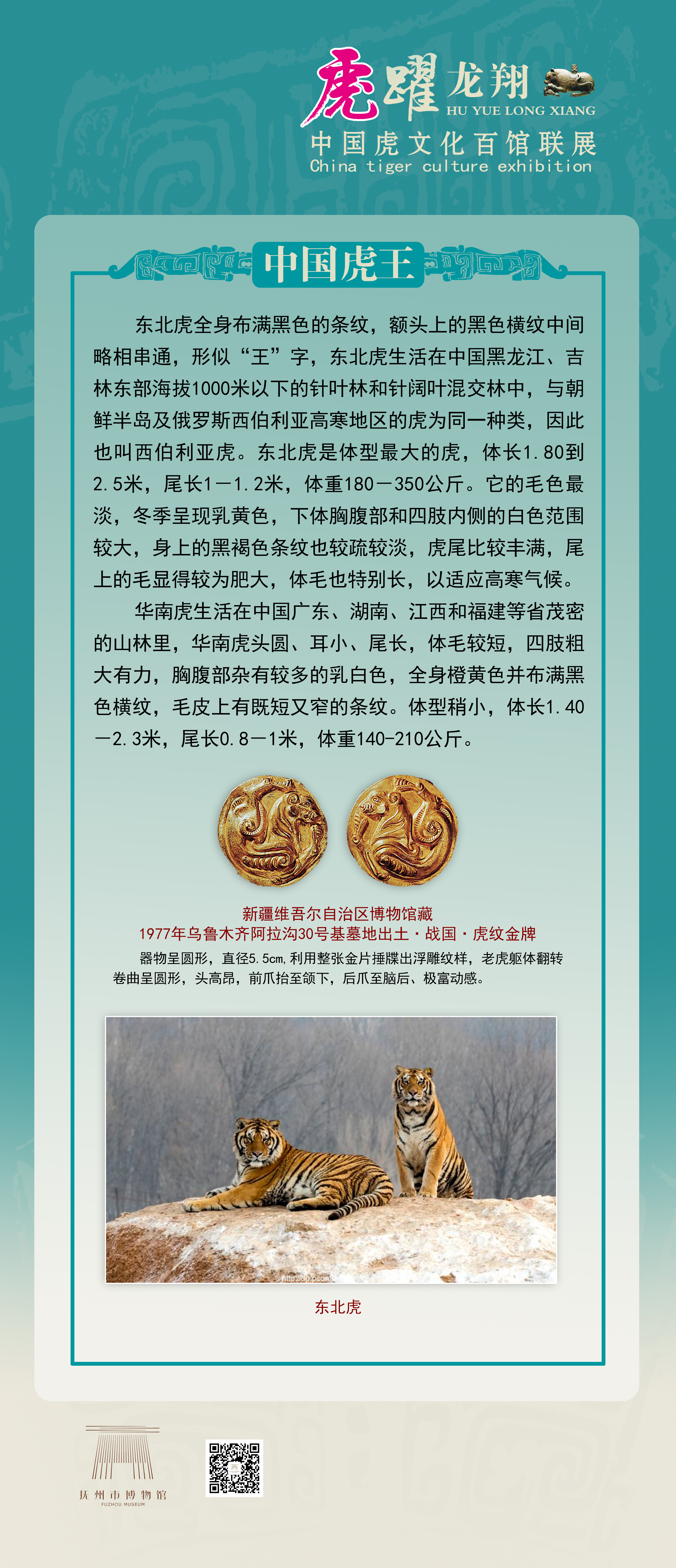 【线上展览】虎跃龙翔——中国虎文化百馆联展（一）