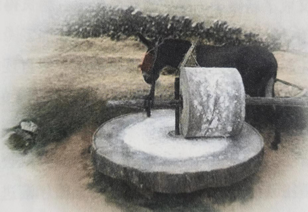 8b0c015eee9b46579f073dbc2637be66.Png