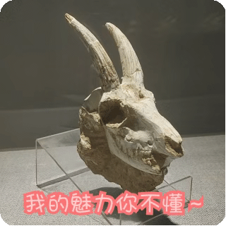 3523ab11c8cb4633902ccda5e12cce50.Gif