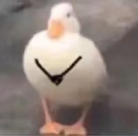 100f4827878642ff8e69a19792ad753f.Jpeg