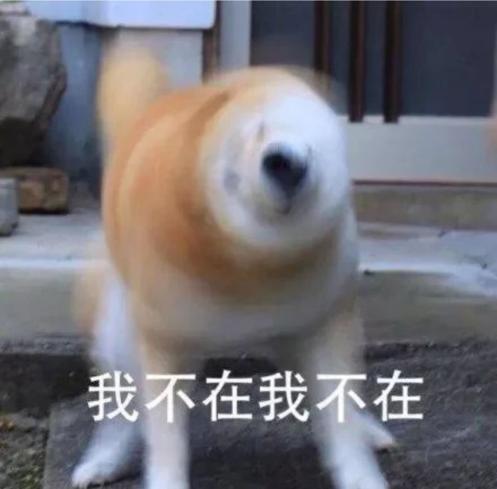 75597afaa93641fc9627d18583f4a4f1.Jpeg