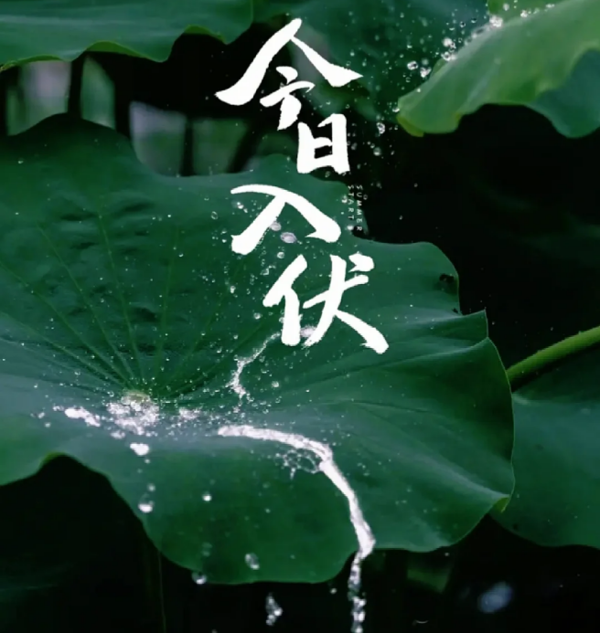 a7949ef0af0841278d1b802876555822.Png