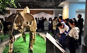 《白银地区古生物化石珍品展》暨《馆藏字画精品展》隆 重 开 展