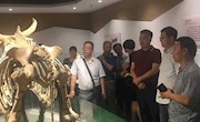 甘肃省“三区人才”支持与计划省博物馆与白银市对接推进会在市博物馆召开
