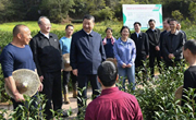 习近平考察朱熹园谈文化自信：没有中华五千年文明，哪有我们今天的成功道路