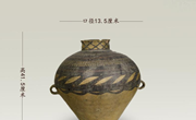 方寸览千年，文物观时代——馆藏文物赏析（四十一）