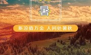 助力战“疫”·文化先行‖白银市博物馆线上社教活动　——离离暑云散，袅袅凉风起