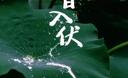 白银市博物馆线上社教活动——入伏