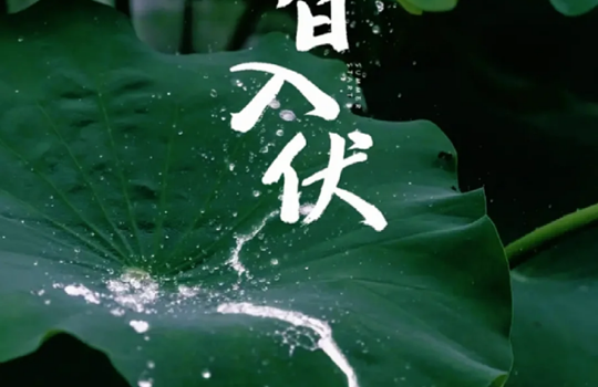 白银市博物馆线上社教活动——入伏