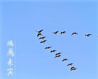 白银市博物馆线上社教活动——秋深露重,岁晚向安