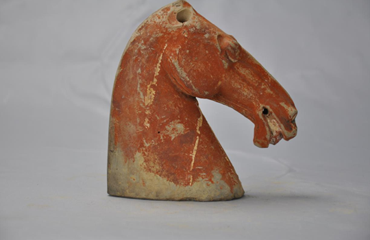 我是博物馆推介官：马年说马