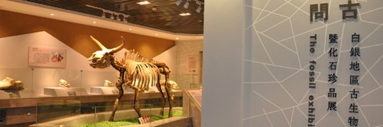 叩石问古——白银地区古生物化石暨化石珍品展