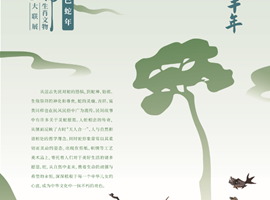 白银市博物馆陪您过大年‖灵蛇献瑞——乙巳蛇年生肖文物图片大联展（四）